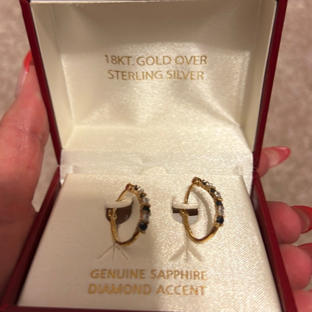 NWT earrings